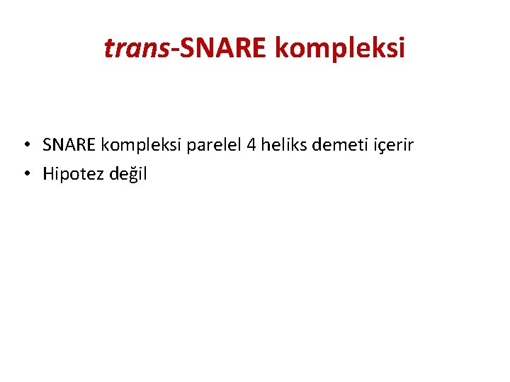 trans-SNARE kompleksi • SNARE kompleksi parelel 4 heliks demeti içerir • Hipotez değil 