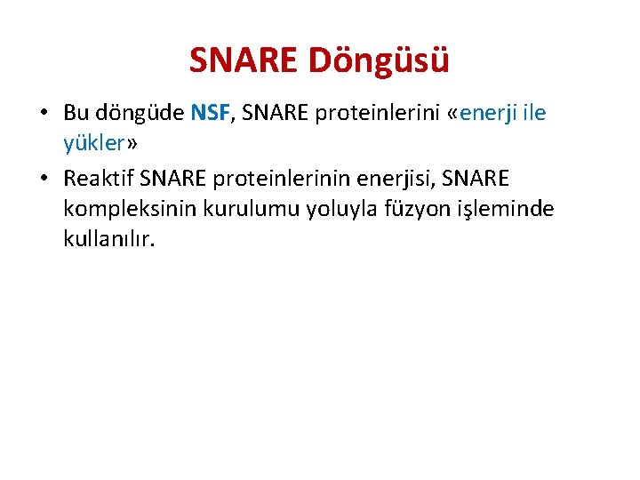 SNARE Döngüsü • Bu döngüde NSF, SNARE proteinlerini «enerji ile yükler» • Reaktif SNARE