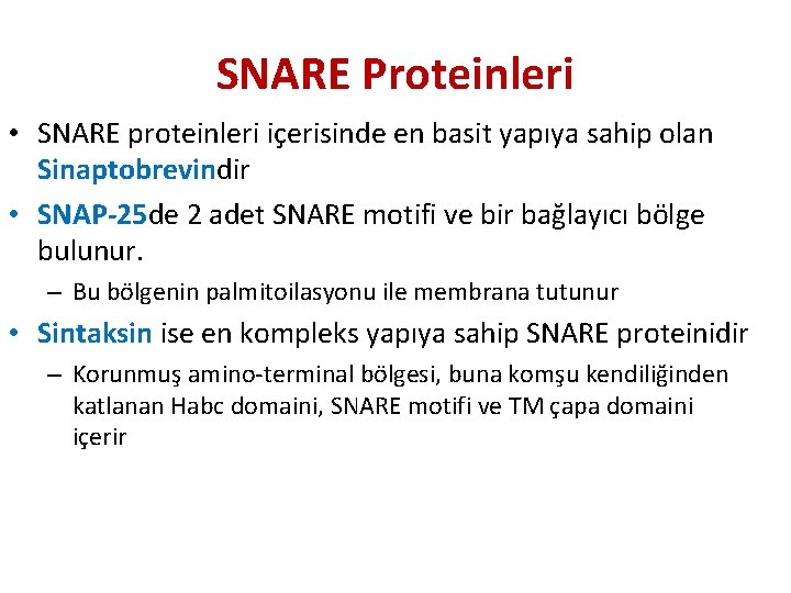 SNARE Proteinleri • SNARE proteinleri içerisinde en basit yapıya sahip olan Sinaptobrevindir • SNAP-25