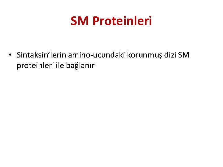 SM Proteinleri • Sintaksin’lerin amino-ucundaki korunmuş dizi SM proteinleri ile bağlanır 