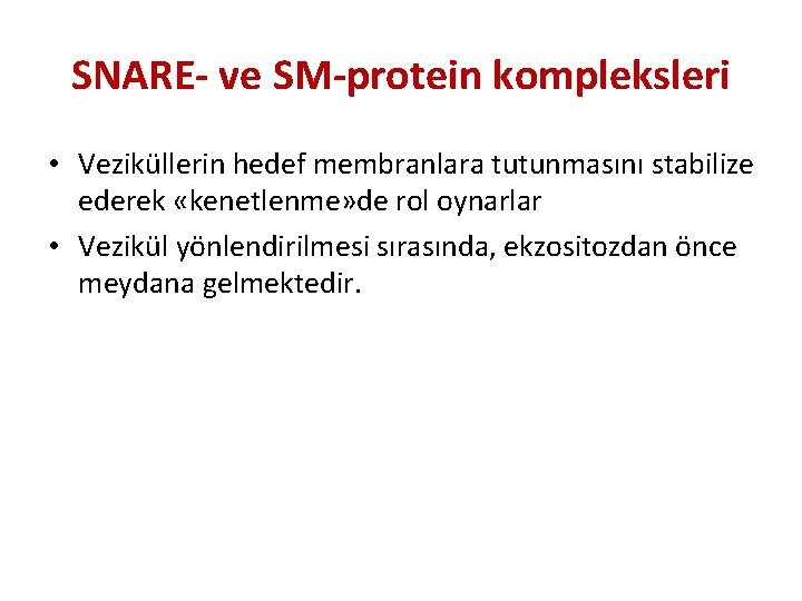SNARE- ve SM-protein kompleksleri • Veziküllerin hedef membranlara tutunmasını stabilize ederek «kenetlenme» de rol