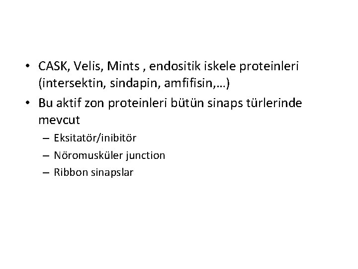  • CASK, Velis, Mints , endositik iskele proteinleri (intersektin, sindapin, amfifisin, …) •