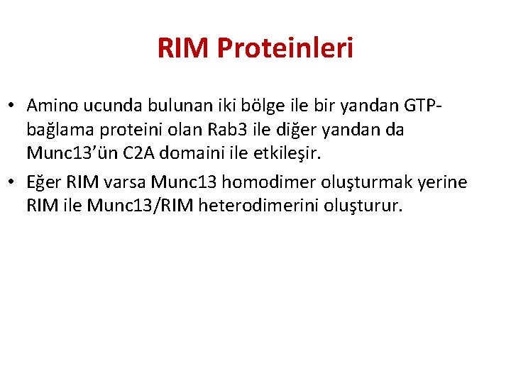 RIM Proteinleri • Amino ucunda bulunan iki bölge ile bir yandan GTPbağlama proteini olan