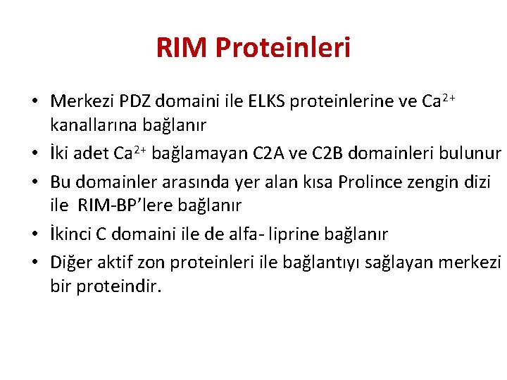 RIM Proteinleri • Merkezi PDZ domaini ile ELKS proteinlerine ve Ca 2+ kanallarına bağlanır