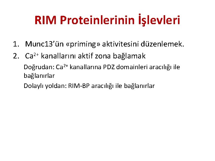 RIM Proteinlerinin İşlevleri 1. Munc 13’ün «priming» aktivitesini düzenlemek. 2. Ca 2+ kanallarını aktif