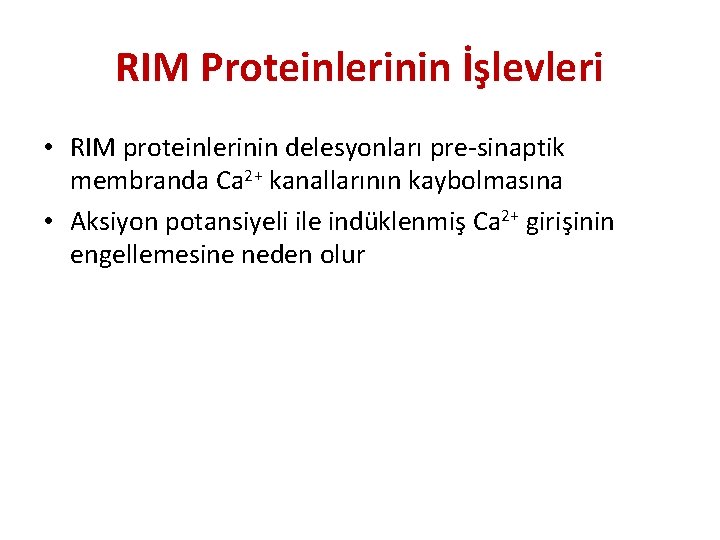 RIM Proteinlerinin İşlevleri • RIM proteinlerinin delesyonları pre-sinaptik membranda Ca 2+ kanallarının kaybolmasına •