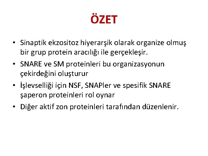 ÖZET • Sinaptik ekzositoz hiyerarşik olarak organize olmuş bir grup protein aracılığı ile gerçekleşir.