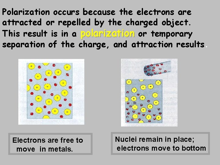 Polarization occurs because the electrons are attracted or repelled by the charged object. This