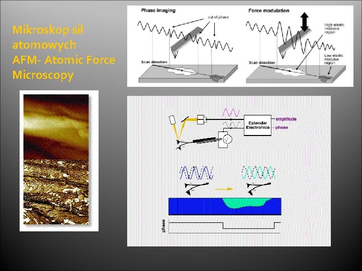 Mikroskop sił atomowych AFM- Atomic Force Microscopy 