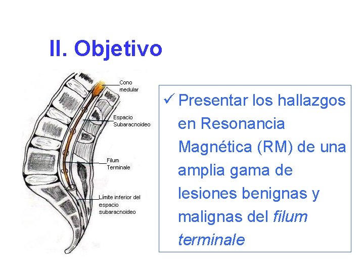 II. Objetivo ü Presentar los hallazgos en Resonancia Magnética (RM) de una amplia gama