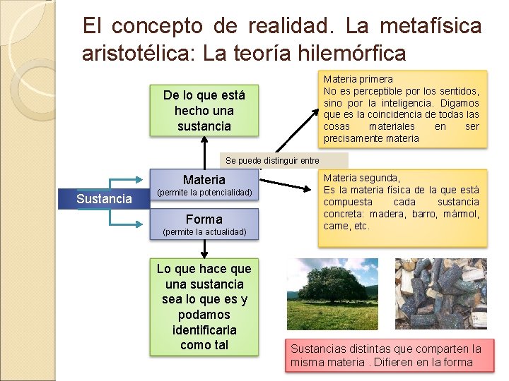 El concepto de realidad. La metafísica aristotélica: La teoría hilemórfica Materia primera No es