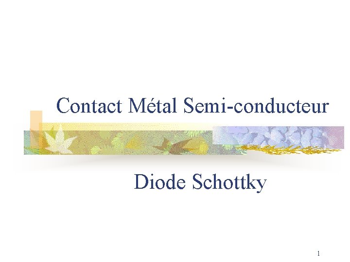 Contact Métal Semi-conducteur Diode Schottky 1 