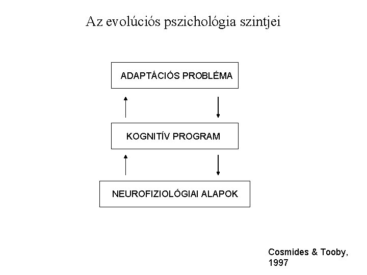 Az evolúciós pszichológia szintjei ADAPTÁCIÓS PROBLÉMA KOGNITÍV PROGRAM NEUROFIZIOLÓGIAI ALAPOK Cosmides & Tooby, 1997