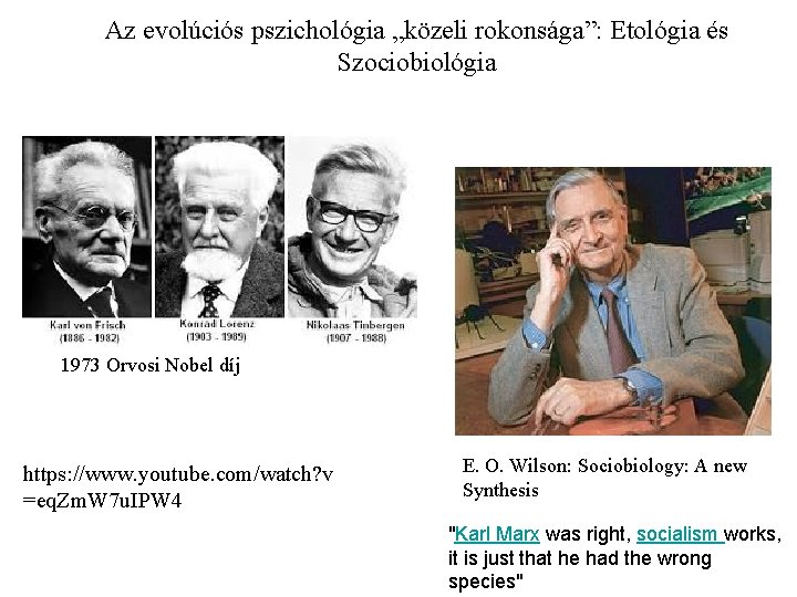 Az evolúciós pszichológia „közeli rokonsága”: Etológia és Szociobiológia 1973 Orvosi Nobel díj https: //www.