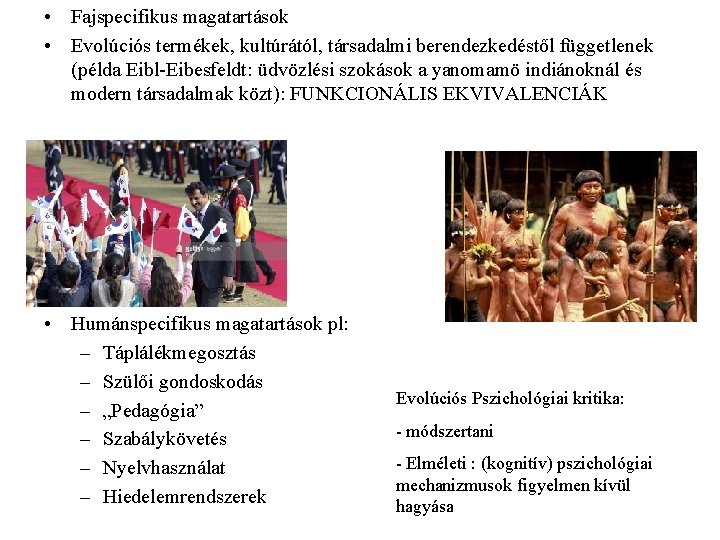  • Fajspecifikus magatartások • Evolúciós termékek, kultúrától, társadalmi berendezkedéstől függetlenek (példa Eibl-Eibesfeldt: üdvözlési