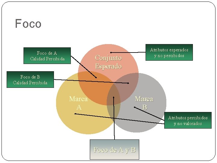 Foco de A Calidad Percibida Atributos esperados y no percibidos Conjunto Esperado Foco de