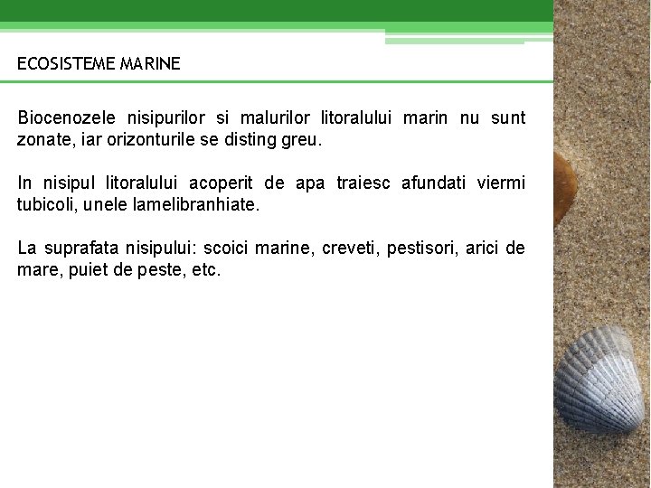 ECOSISTEME MARINE Biocenozele nisipurilor si malurilor litoralului marin nu sunt zonate, iar orizonturile se