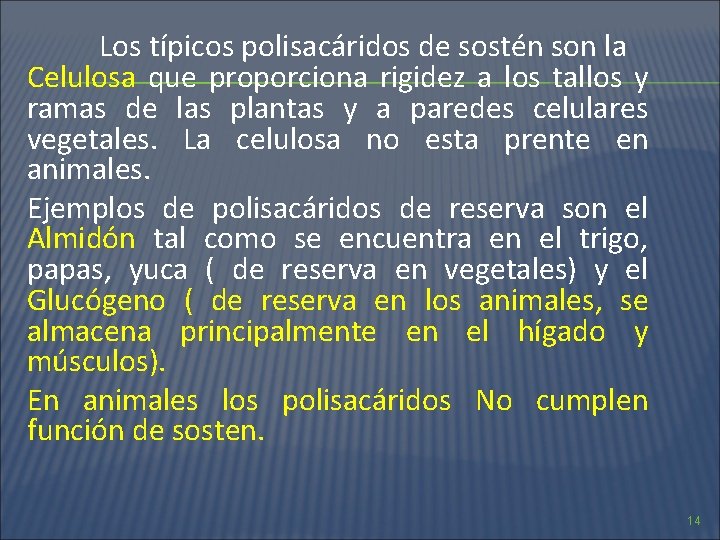 Los típicos polisacáridos de sostén son la Celulosa que proporciona rigidez a los tallos