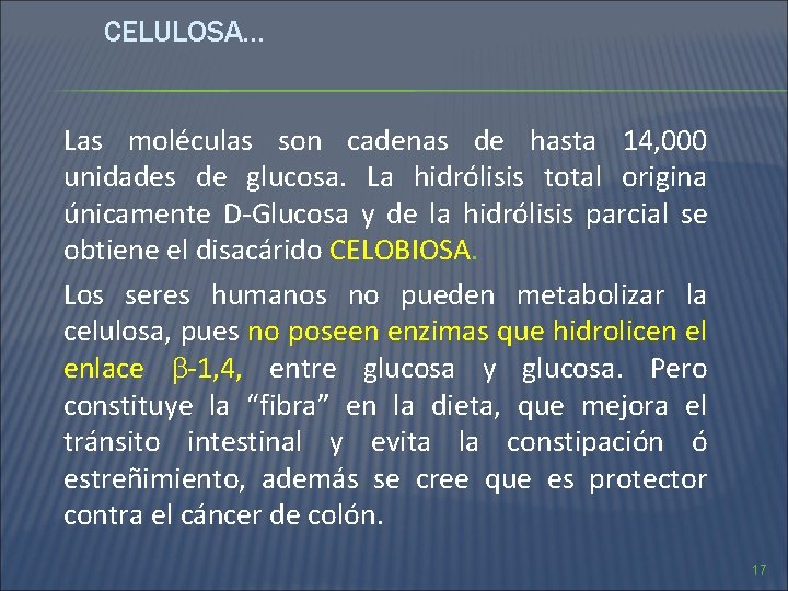 CELULOSA… Las moléculas son cadenas de hasta 14, 000 unidades de glucosa. La hidrólisis