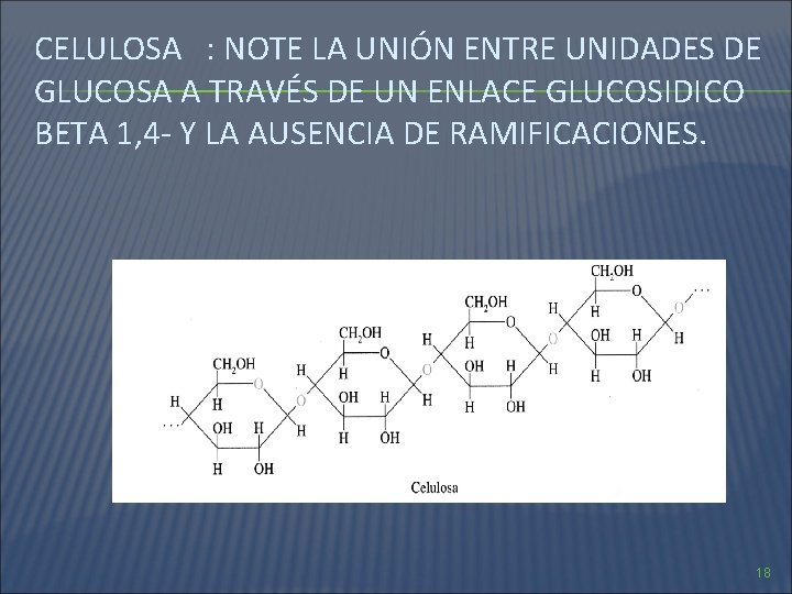 CELULOSA : NOTE LA UNIÓN ENTRE UNIDADES DE GLUCOSA A TRAVÉS DE UN ENLACE