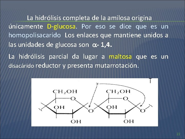 La hidrólisis completa de la amilosa origina únicamente D-glucosa. Por eso se dice que