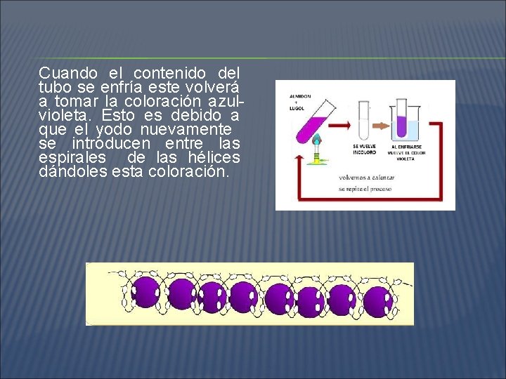 Cuando el contenido del tubo se enfría este volverá a tomar la coloración azulvioleta.