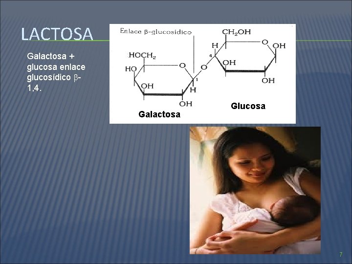 LACTOSA Galactosa + glucosa enlace glucosídico 1, 4. Galactosa Glucosa 7 