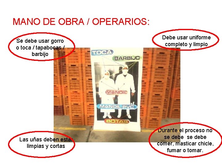 MANO DE OBRA / OPERARIOS: Se debe usar gorro o toca / tapabocas /