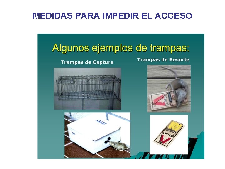 MEDIDAS PARA IMPEDIR EL ACCESO 