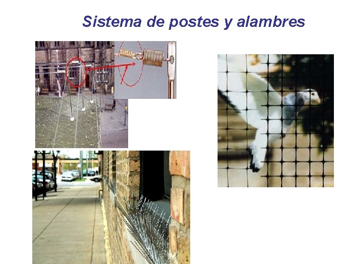 Sistema de postes y alambres 