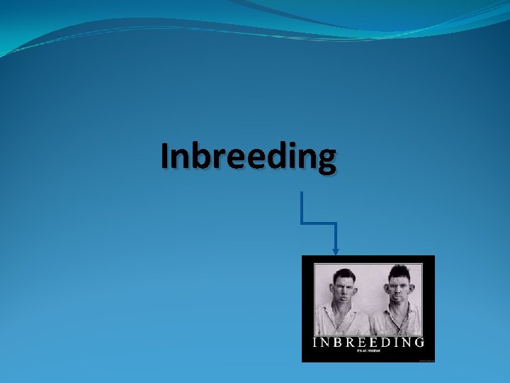 Inbreeding 