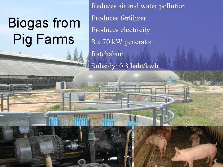 Reduces air and water pollution Biogas from Pig Farms Produces fertilizer Produces electricity 8