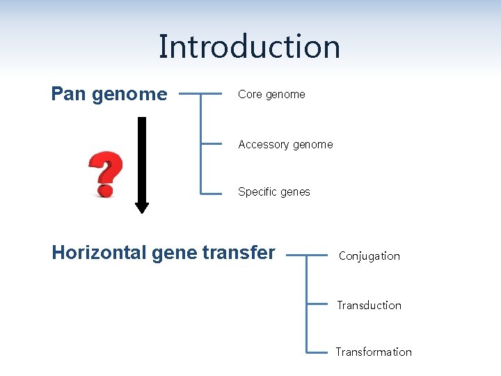 Introduction Pan genome Core genome Accessory genome Specific genes Horizontal gene transfer Conjugation Transduction