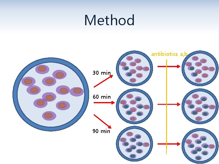 Method antibiotics a, b 30 min 60 min 90 min 