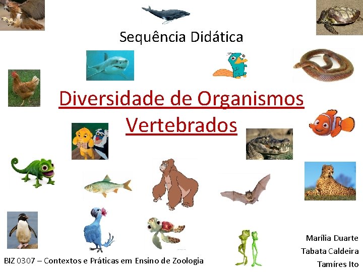 Sequência Didática Diversidade de Organismos Vertebrados BIZ 0307 – Contextos e Práticas em Ensino