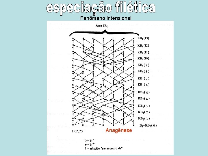 Fenômeno intensional Anagênese 