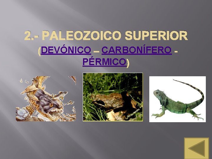 2. - PALEOZOICO SUPERIOR (DEVÓNICO – CARBONÍFERO PÉRMICO ) 