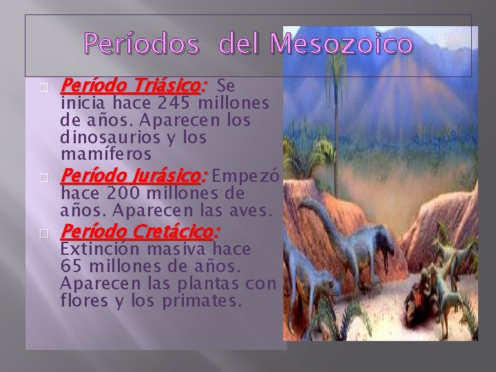 Períodos del Mesozoico � � � Período Triásico: Se inicia hace 245 millones de
