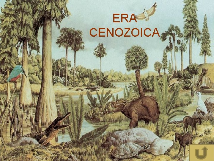 ERA CENOZOICA 