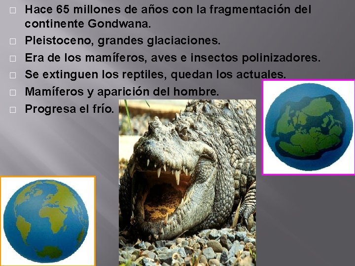� � � Hace 65 millones de años con la fragmentación del continente Gondwana.