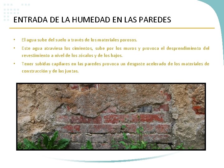 ENTRADA DE LA HUMEDAD EN LAS PAREDES • El agua sube del suelo a