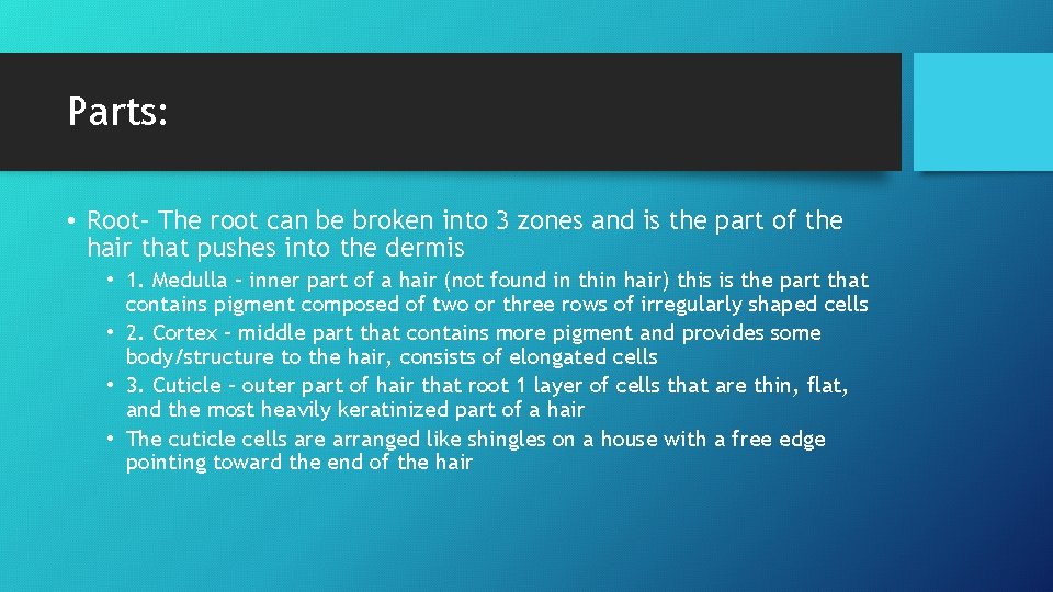 Parts: • Root– The root can be broken into 3 zones and is the