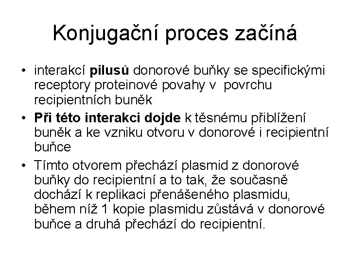 Konjugační proces začíná • interakcí pilusů donorové buňky se specifickými receptory proteinové povahy v