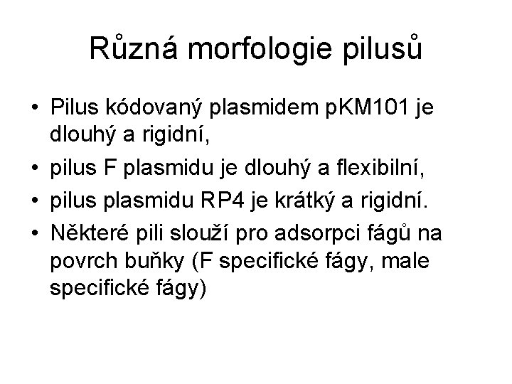 Různá morfologie pilusů • Pilus kódovaný plasmidem p. KM 101 je dlouhý a rigidní,