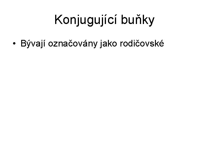 Konjugující buňky • Bývají označovány jako rodičovské 