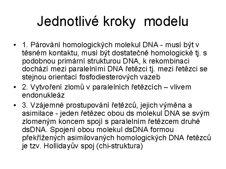 Jednotlivé kroky modelu • 1. Párování homologických molekul DNA - musí být v těsném