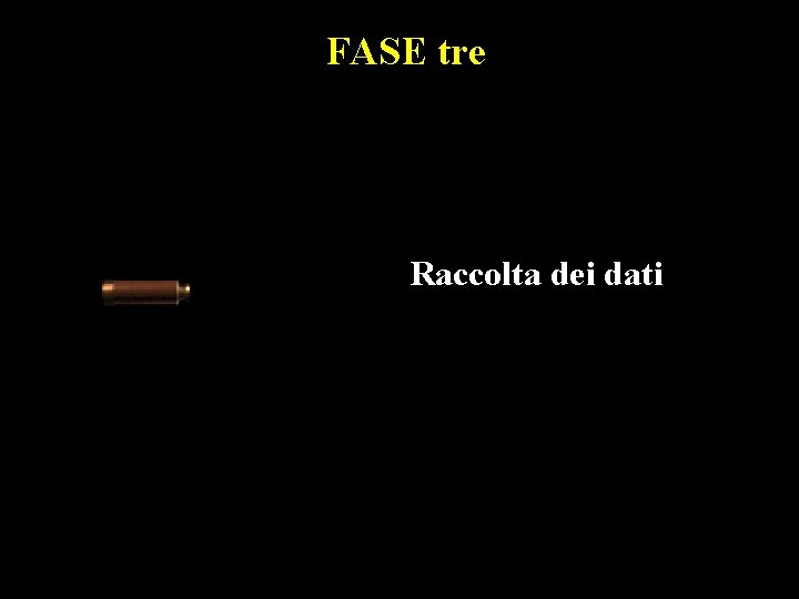 FASE tre Raccolta dei dati 