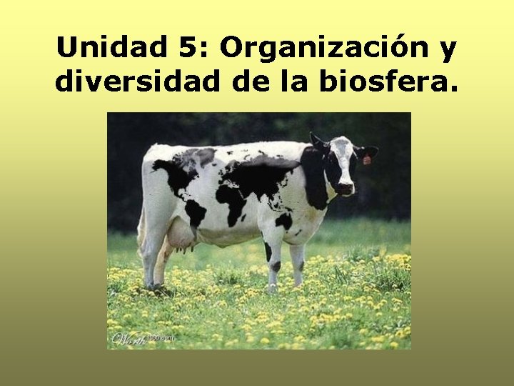 Unidad 5: Organización y diversidad de la biosfera. 