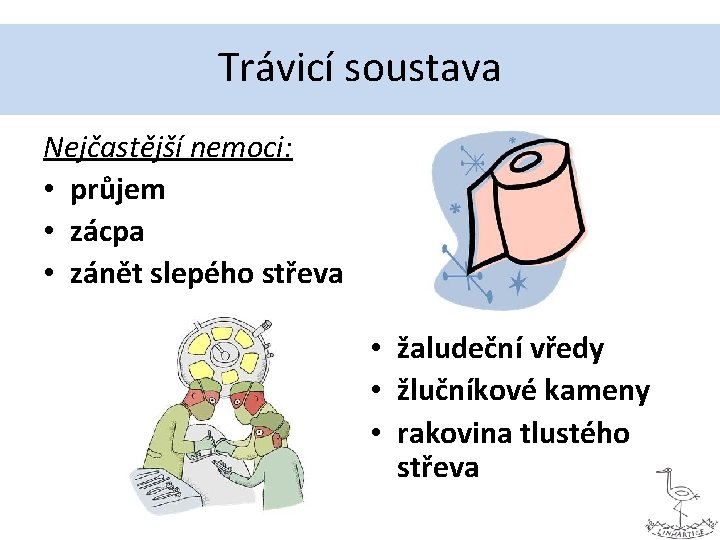 Trávicí soustava Nejčastější nemoci: • průjem • zácpa • zánět slepého střeva • žaludeční