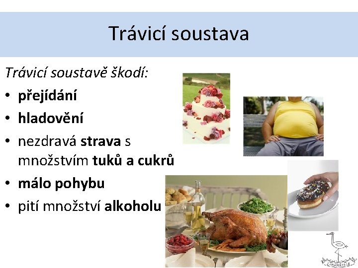 Trávicí soustava Trávicí soustavě škodí: • přejídání • hladovění • nezdravá strava s množstvím